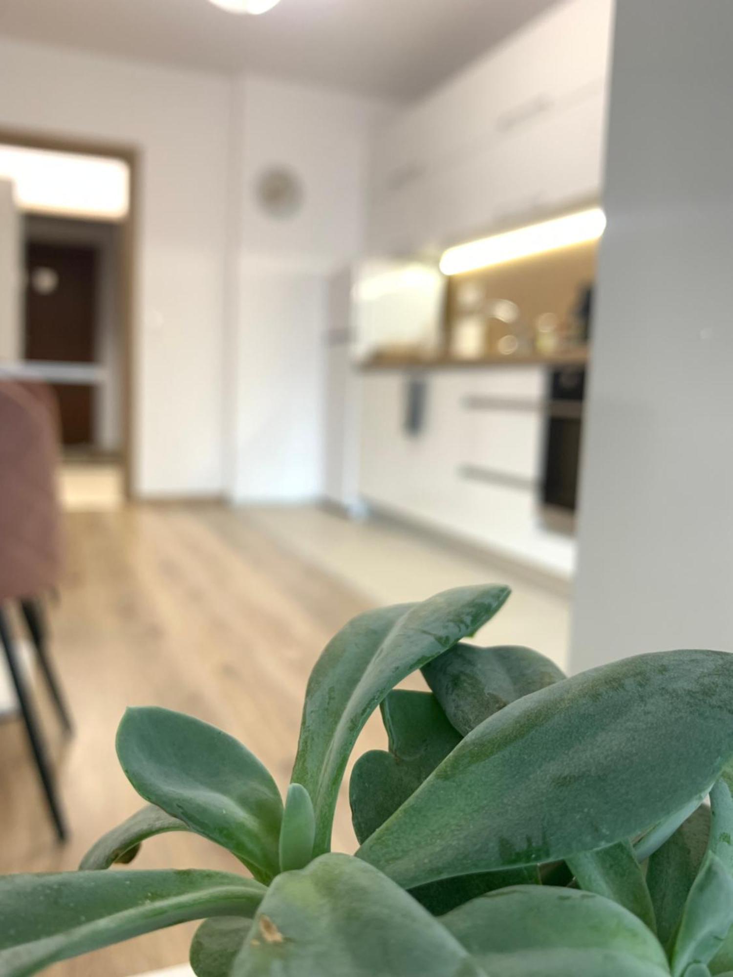 Sofia Central Luxury Apartment "2A" With Parking المظهر الخارجي الصورة
